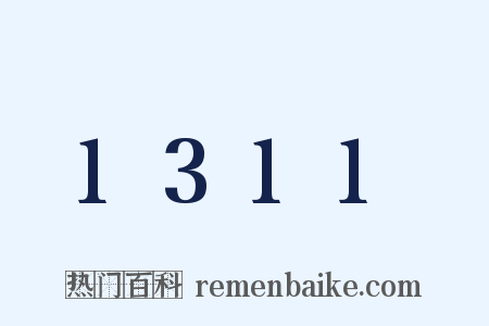 1311是什么意思的图片